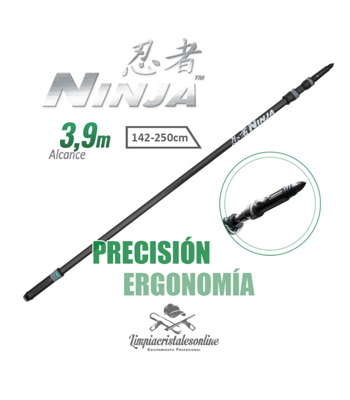 Pértiga telescópica Unger Ninja carbono 250