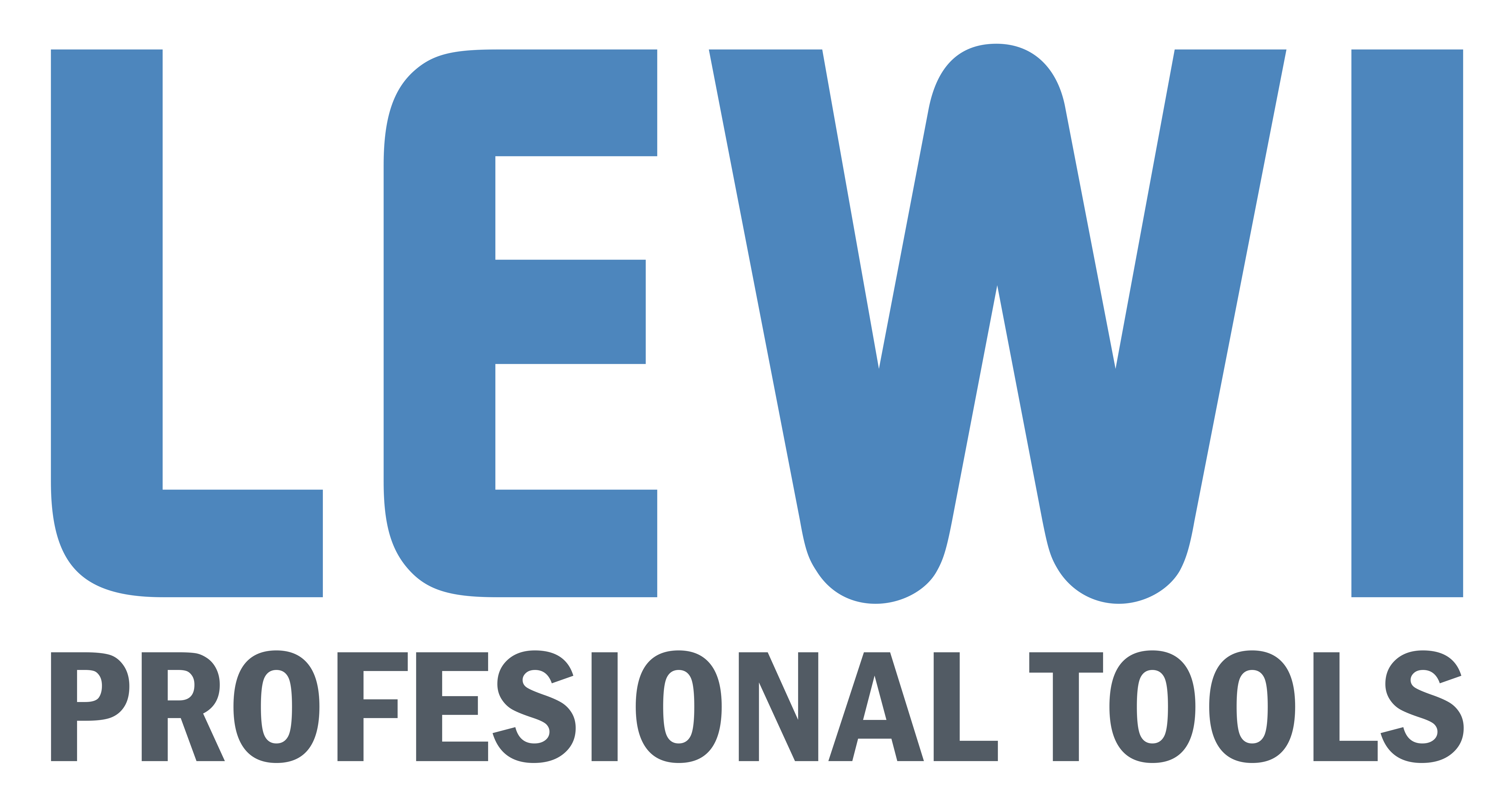 Logo LEWI